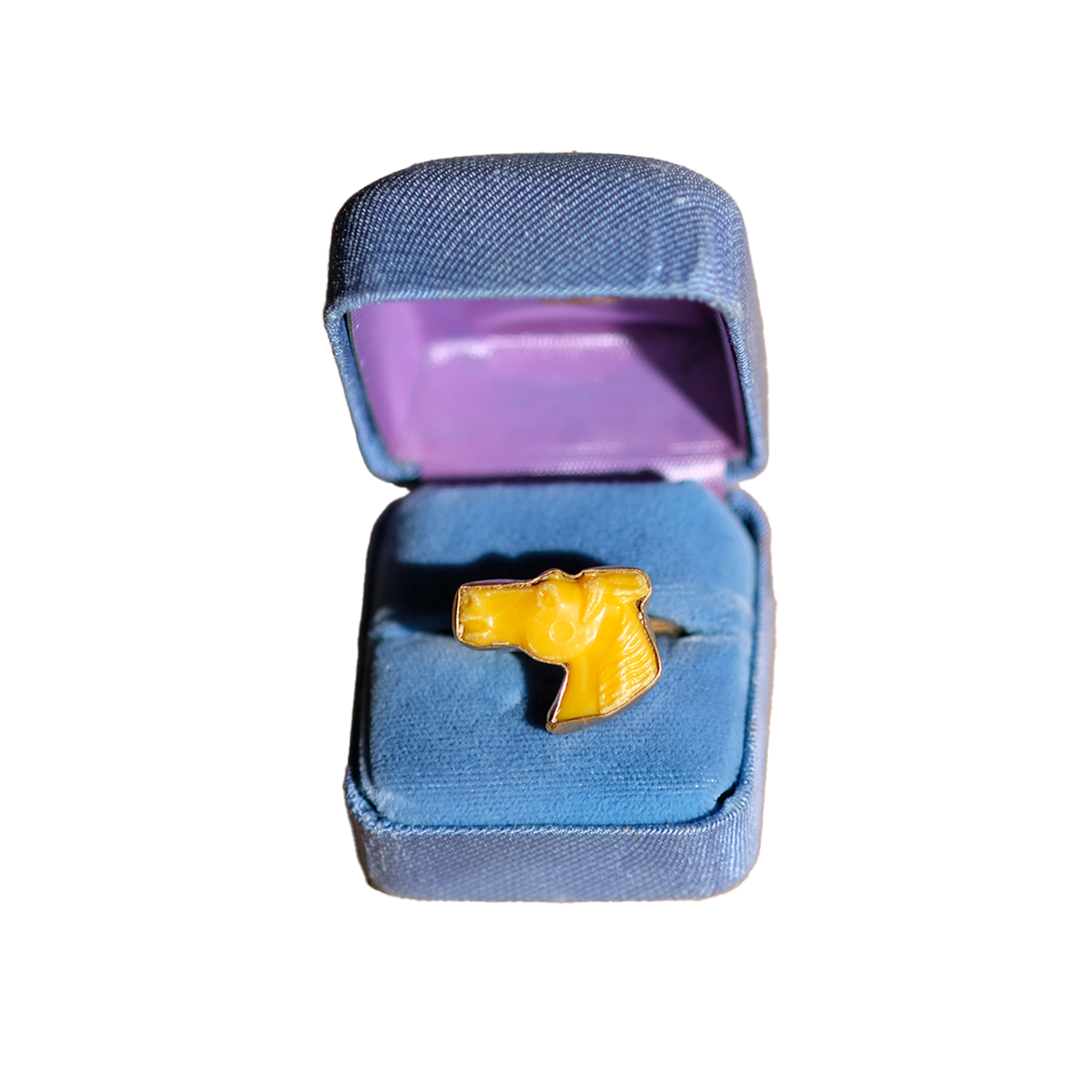 Horse Head in Yellow (7)